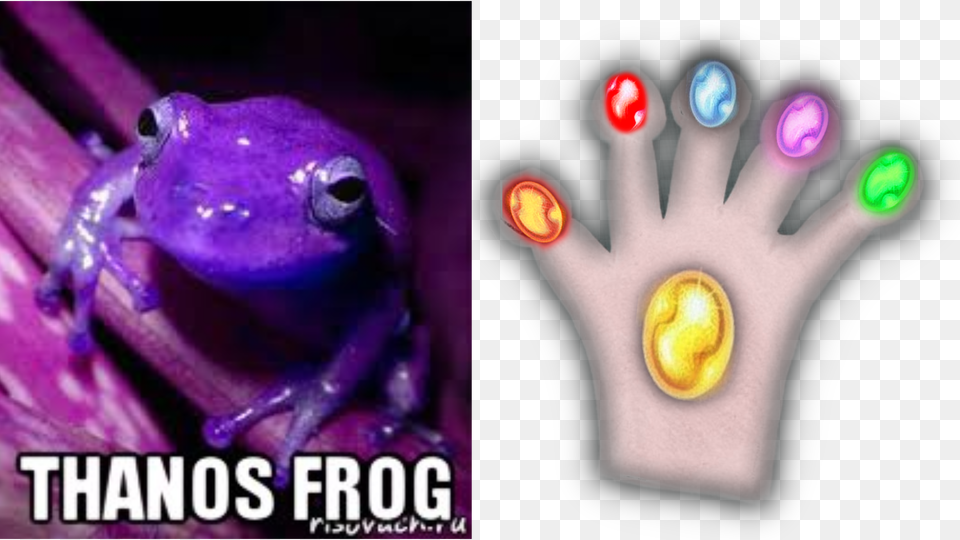 Thanos Glove Gauntlet Custom Fit For Frog Fingers Imgur Purple Frog, Amphibian, Animal, Wildlife, Person Free Transparent Png
