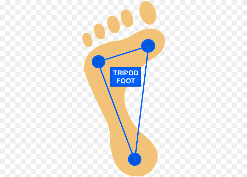 That Being The Case Its A Good Idea When Training Foot, Footprint Png