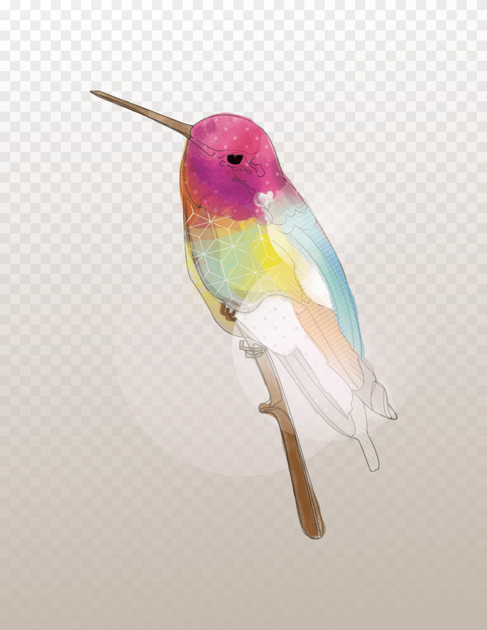 That Hummingbird Life Illustration, Animal, Bird Png Image