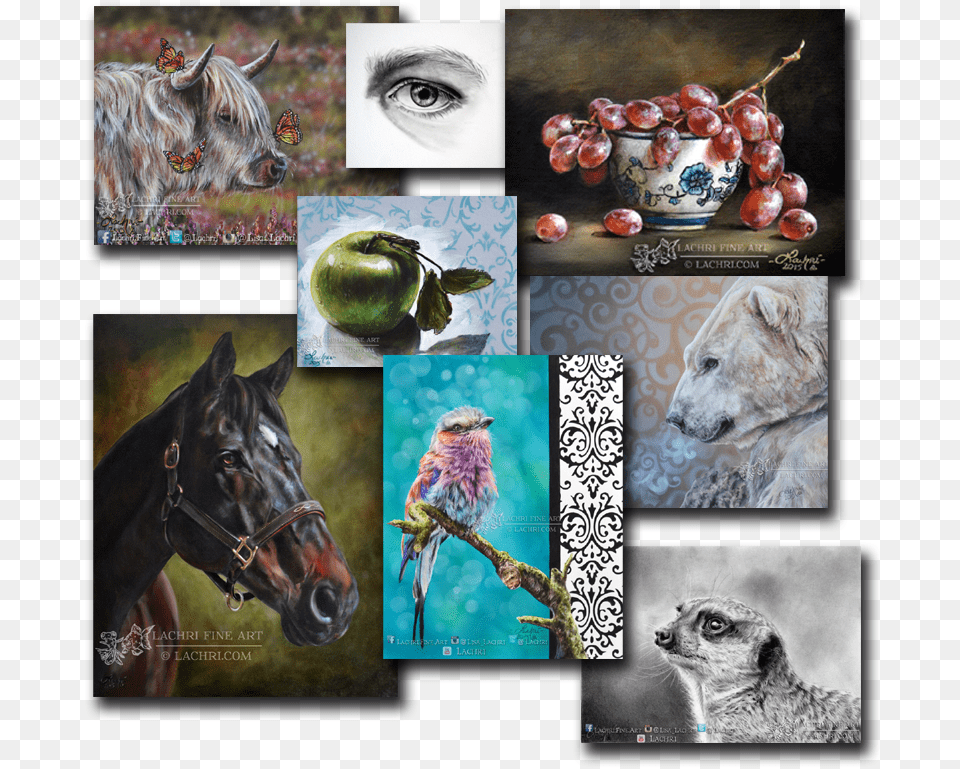 That Is A Lot Of Work That Would Never Have Existed Lachri Fine Art, Animal, Mammal, Wildlife, Collage Png Image