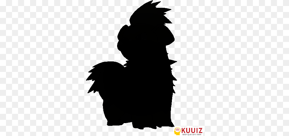 That Pokmon 058 Mystery Edition Kuuiz That Pokemon Silhouettes, Animal, Bird, Parrot, Cockatoo Png Image