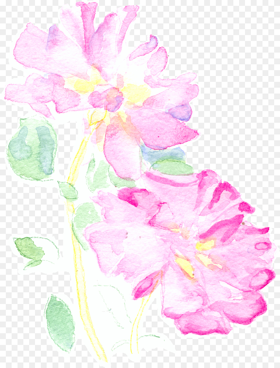 That Worked Well And From There I Went On To Create Pink Roses Get Well Card, Flower, Petal, Plant, Rose Free Transparent Png