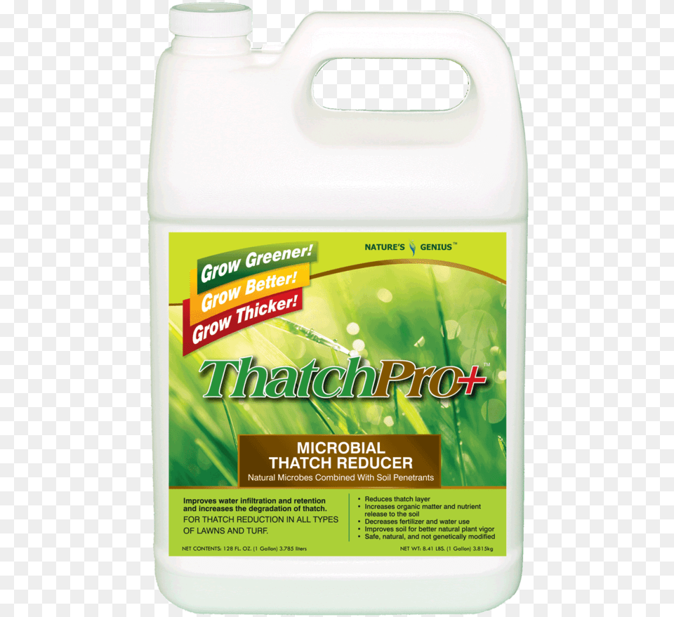 Thatchpro 1g Front, Herbal, Herbs, Plant, Business Card Free Transparent Png