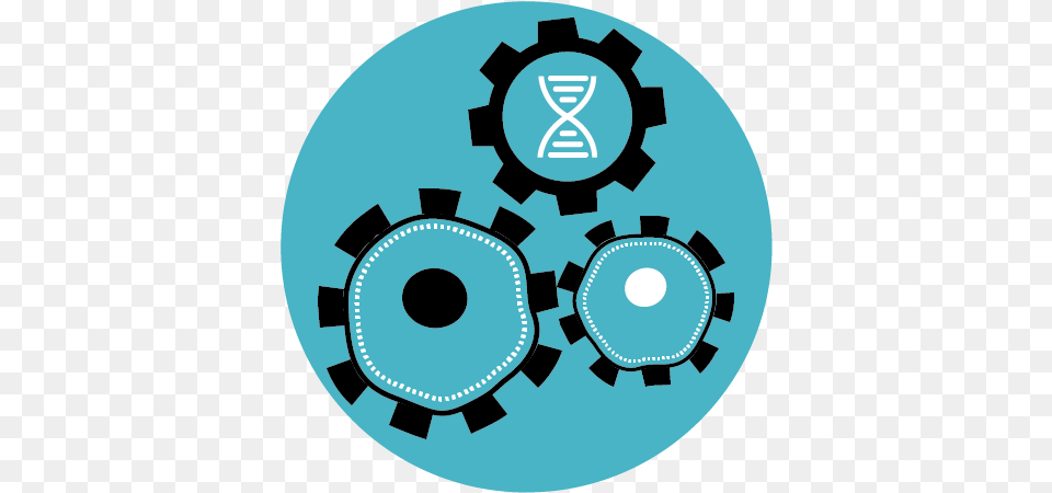 Thayer School Of Engineering Biomedical Engineering Icon, Machine, Gear, Ammunition, Grenade Png