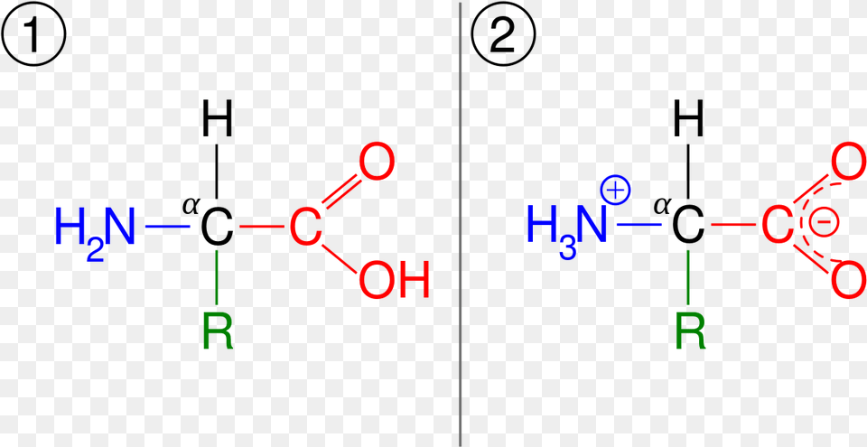 Thc Molecule Lewis Dot Structure Thc Lewis Dot Structure, Circuit Diagram, Diagram Free Transparent Png