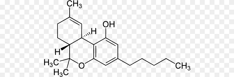 Thc Molecule New York City, Gray Free Transparent Png