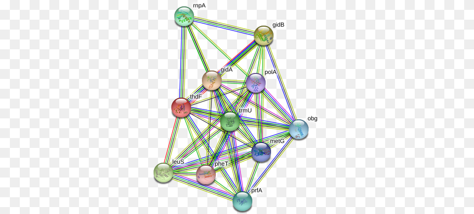 Thdf Protein Circle, Sphere, Machine, Wheel, Network Free Png
