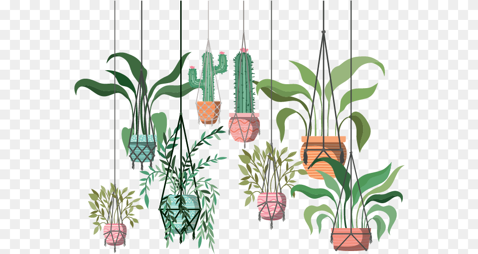 The 10 Best Hanging Plants For Creating An Indoor Instagram Hanging Flower Plants Illustration, Jar, Plant, Planter, Potted Plant Png Image