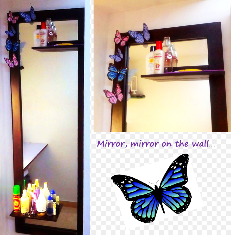 The 3d Butterfly Butterfly Made From M Seal, Shelf, Art, Collage Free Png Download