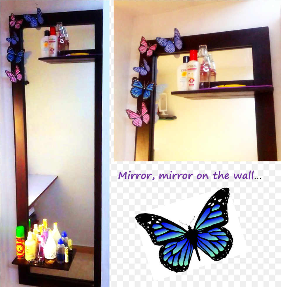 The 3d Butterfly Shelf, Art, Collage Free Transparent Png