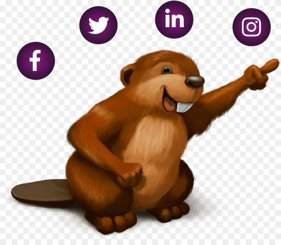 The Acopian Beaver Story Power Supplies Small Email Signature Facebook Icon, Animal, Bird, Mammal, Rodent Png Image