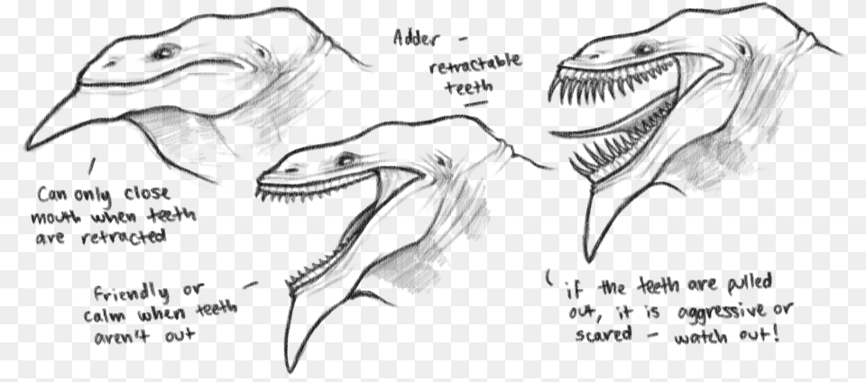 The Adder S Retractable Teeth Download Retractable Teeth, Animal, Dinosaur, Reptile Free Transparent Png
