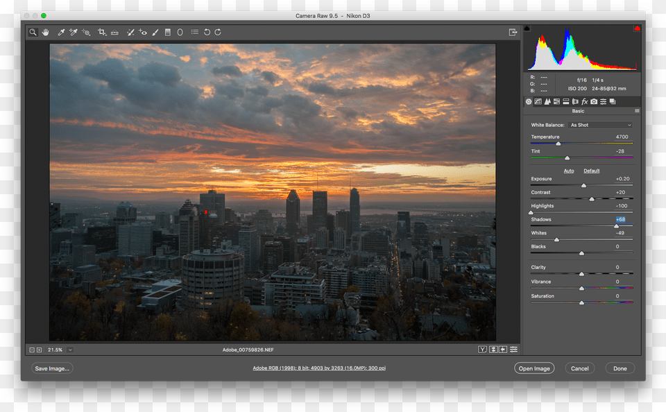 The Adobe Photoshop Interface Showing A Raw Camera Raw, Metropolis, Outdoors, Nature, Sky Free Png