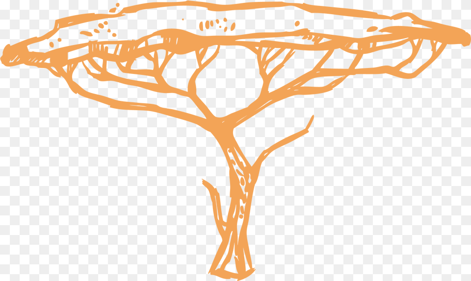 The African Research Assist Tree, Field, Grassland, Nature, Outdoors Free Png Download