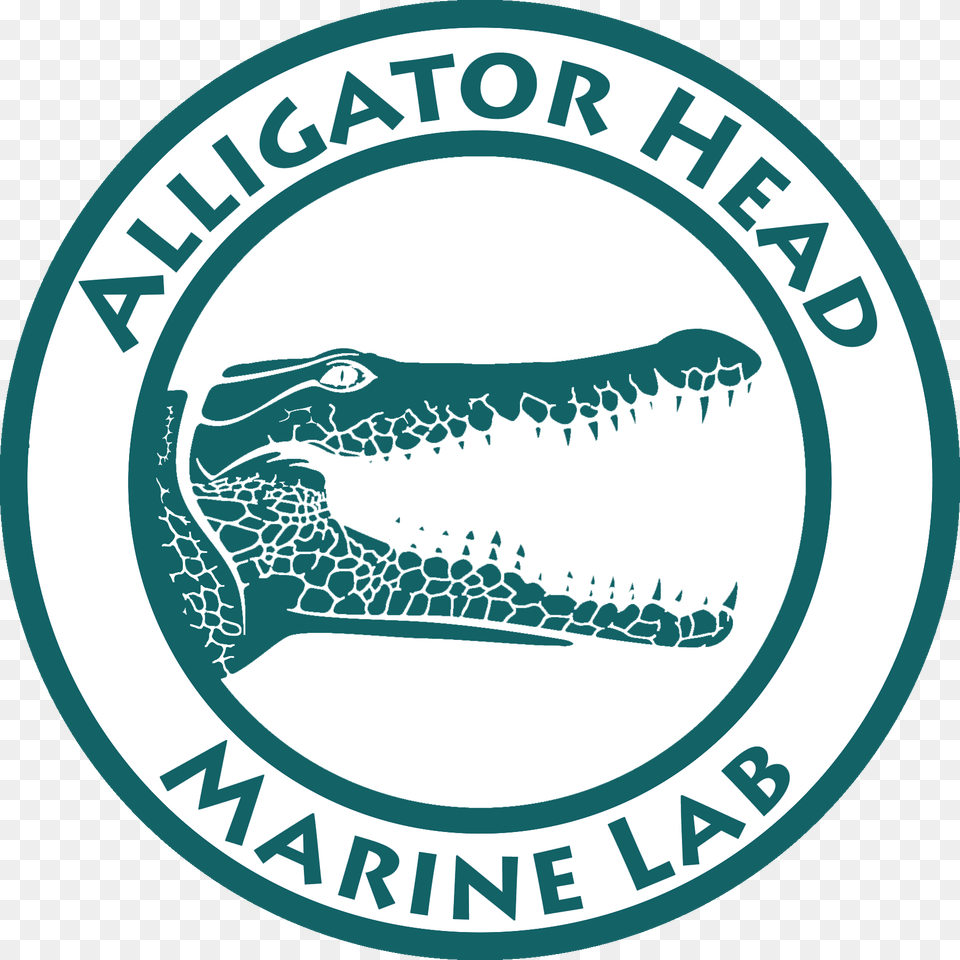 The Alligator Head Marine Lab Established In March National University Of Mongolia, Logo, Animal, Fish, Sea Life Free Transparent Png