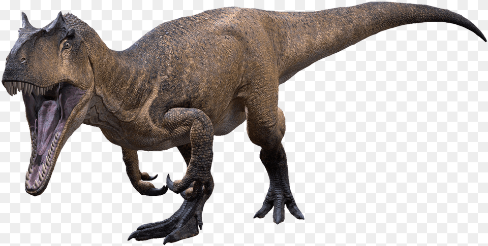 The Allosaurus Transparent Ver Allosaurus Transparent, Animal, Dinosaur, Reptile, T-rex Png Image