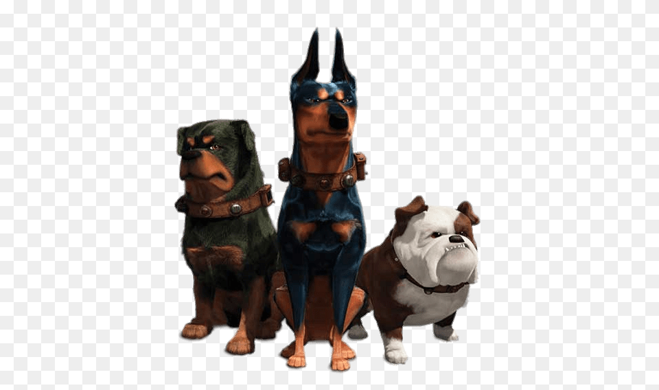 The Alpha Dogs, Animal, Canine, Dog, Mammal Png Image