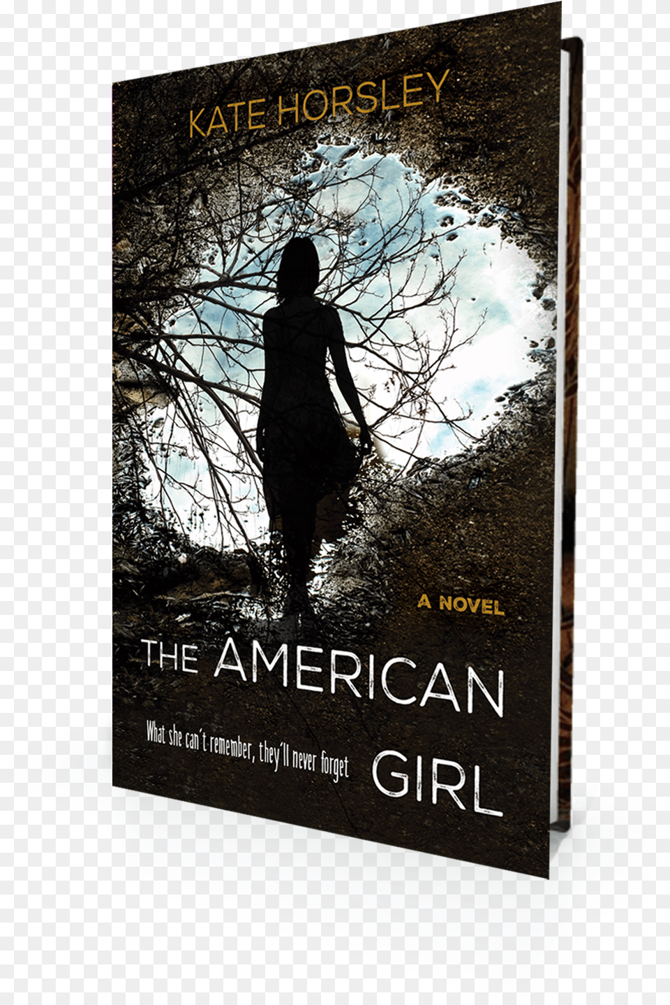 The American Girl The American Girl, Adult, Book, Female, Novel Free Png Download