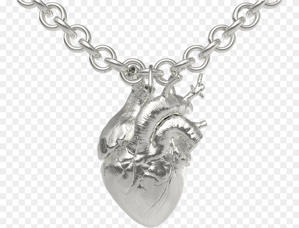 The Anatomical Heart Cardcaptor Sakura, Accessories, Jewelry, Necklace, Pendant Free Png