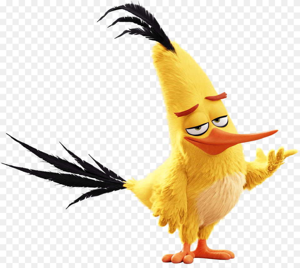 The Angry Birds Movie Chuck From Angry Birds, Animal, Bird, Cartoon Free Png Download