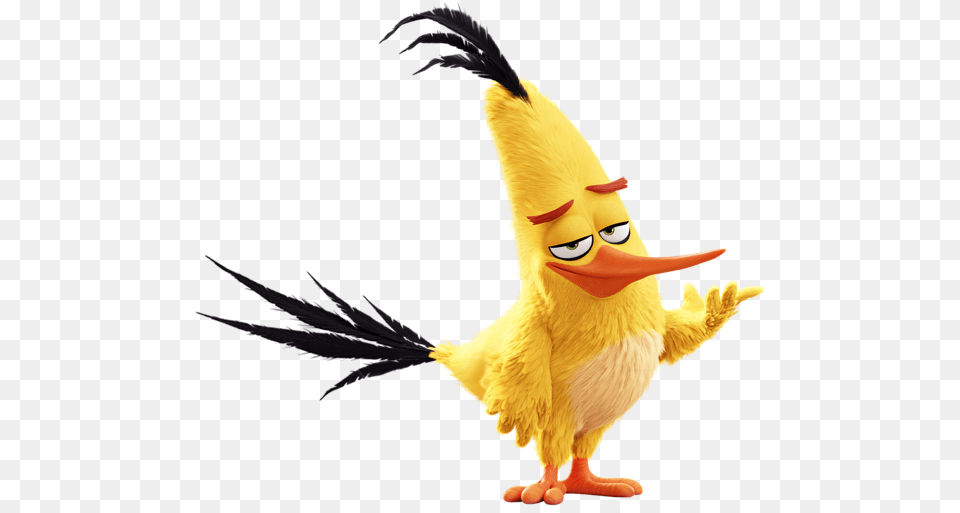 The Angry Birds Movie Chuck Image, Animal, Bird, Cartoon Free Transparent Png