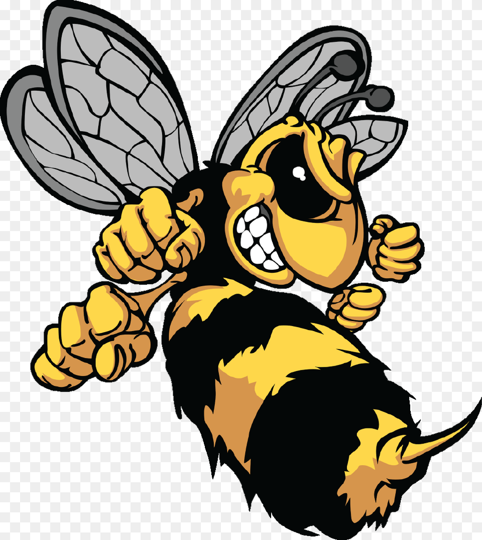 The Angry Hive Hornet Cartoon, Animal, Invertebrate, Insect, Wasp Free Png Download