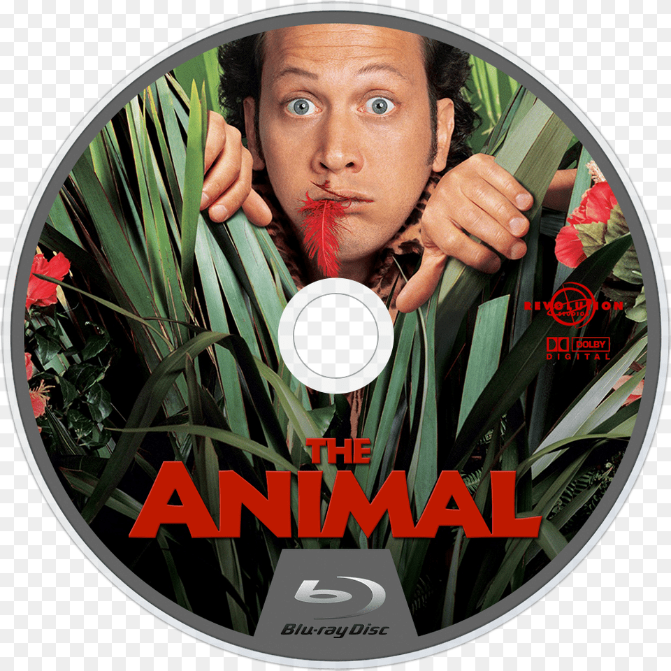 The Animal 2001 Dvd The Animal Dvd Case Icon Transparent Animal 2001 Label Dvd, Disk, Face, Head, Person Png