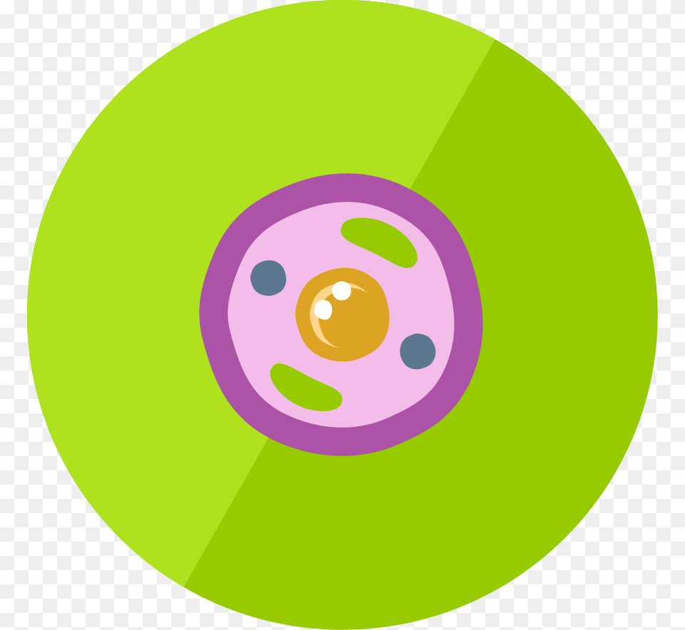 The Animal Cell Animal Cell Icon, Disk, Dvd Free Png
