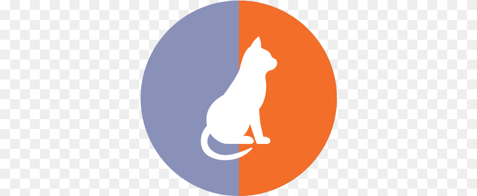 The Animal Tender Pet Resort Cat, Mammal Png Image