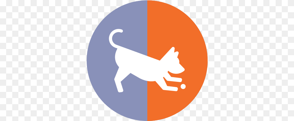 The Animal Tender Pet Resort Dog, Disk, Canine, Mammal Png Image