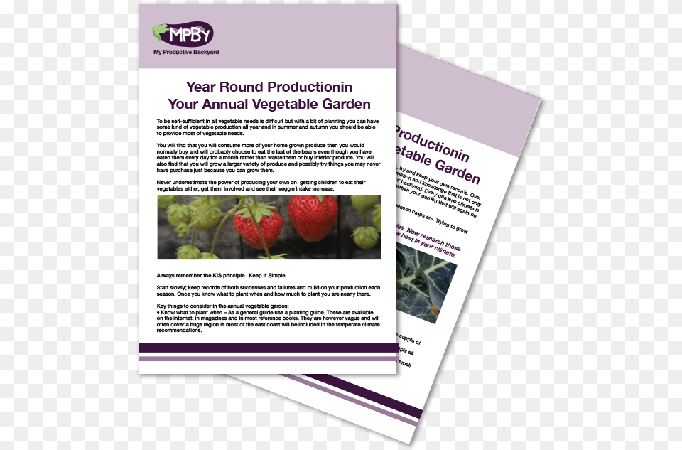 The Annual Vegetable Garden Module 4 Flyer, Advertisement, Poster, Berry, Food Png Image