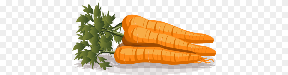 The Antioxidants Found In Carrots Include Vitamin C Carrot, Food, Plant, Produce, Vegetable Png Image
