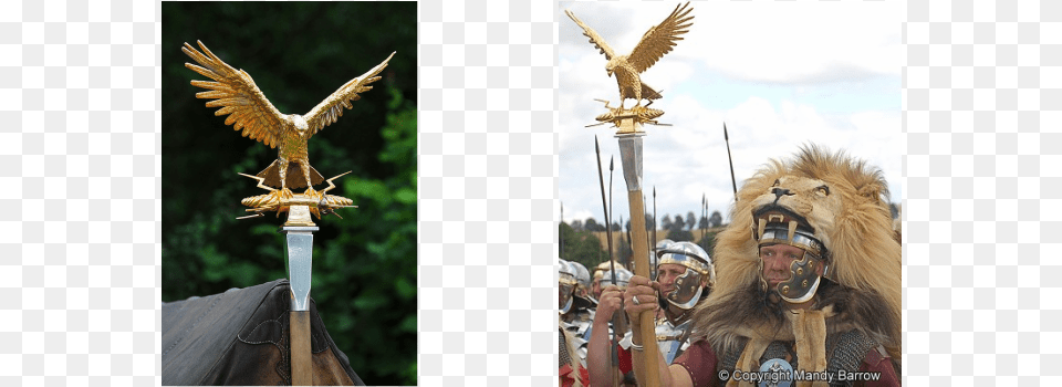 The Aquila Or The Eagle Standardleft Picture Aquila Rome, Weapon, Spear, Clothing, Costume Png