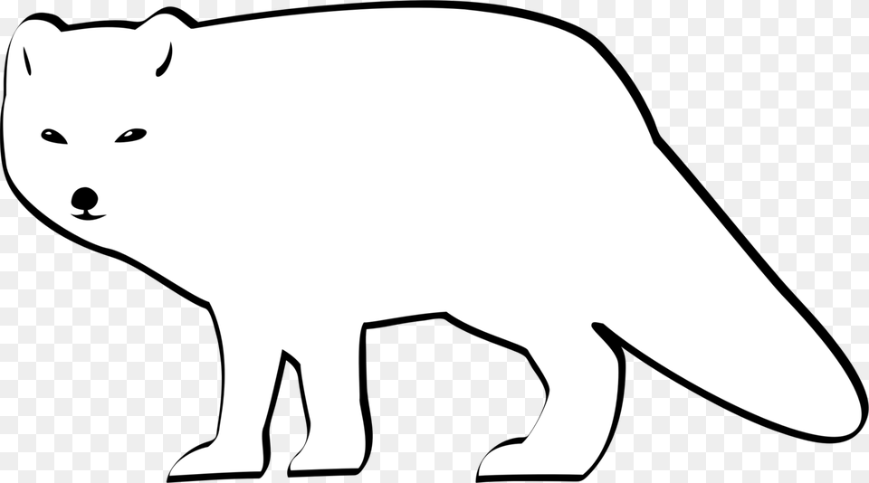 The Arctic Fox Drawing, Animal, Mammal, Wildlife, Bear Png Image