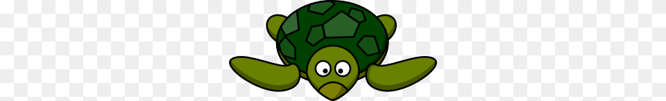 The Art Of Turtle Clip Art Woof Buzz, Soccer Ball, Ball, Soccer, Football Png