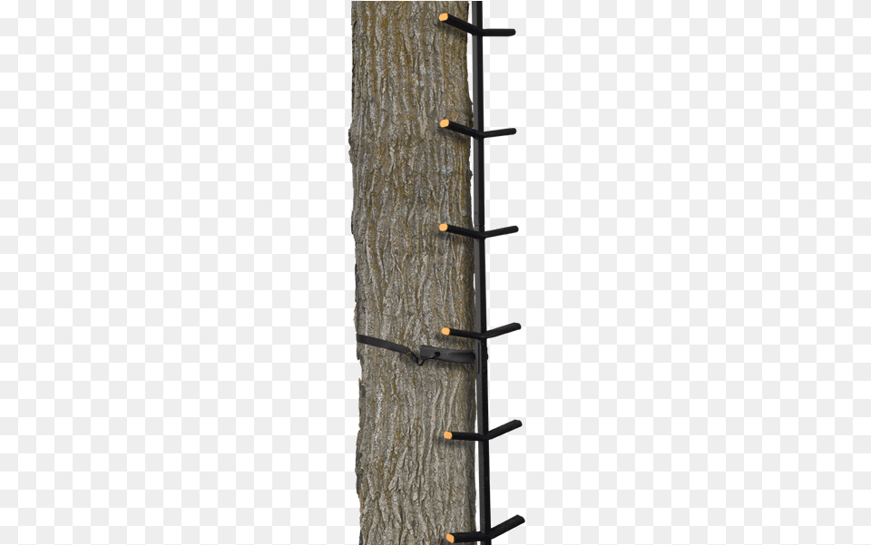 The Ascender Ladder Stand Climbing Stick, Plant, Sword, Tree, Tree Trunk Free Png