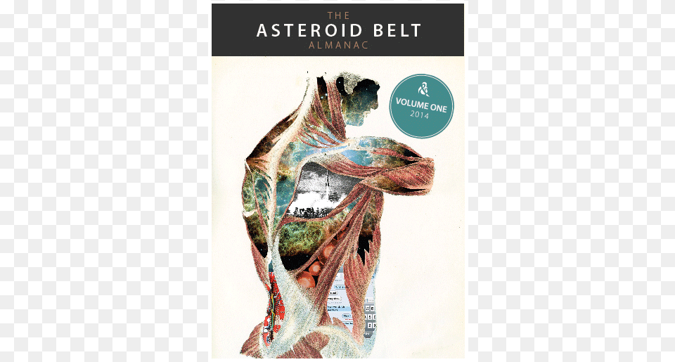 The Asteroid Belt Almanac, Book, Publication, Adult, Bride Free Png Download