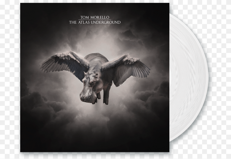 The Atlas Underground Clear Vinyl Lp Tom Morello The Atlas Underground, Animal, Bird, Flying Free Transparent Png