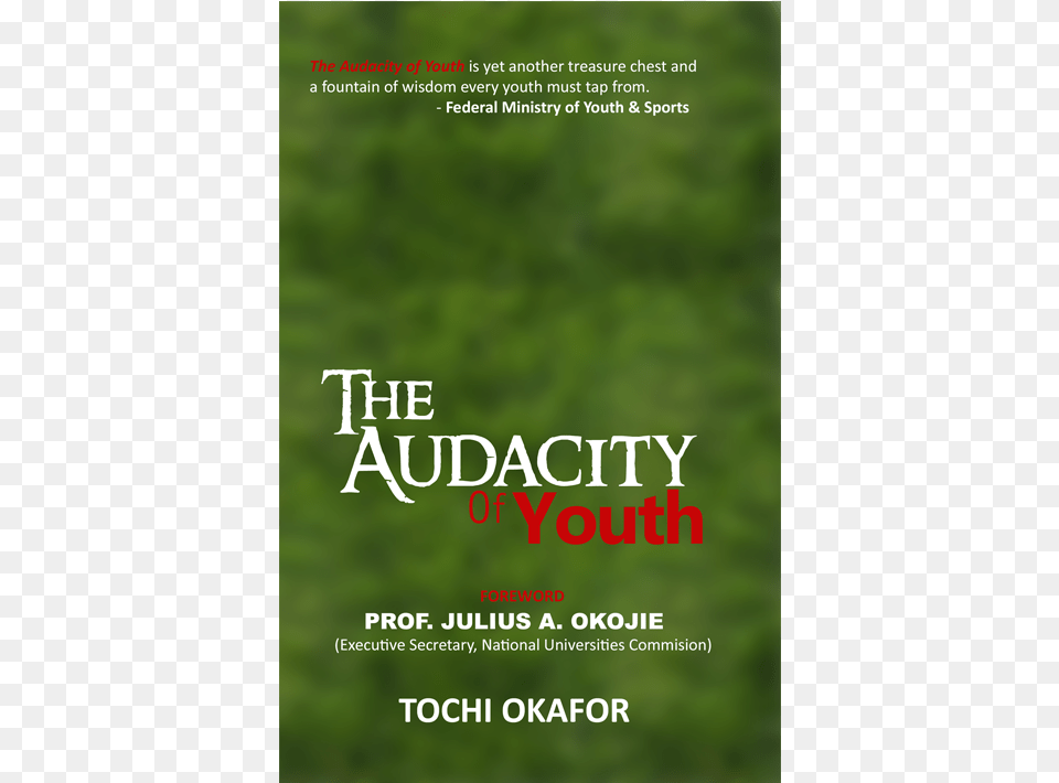 The Audacity Youth Book Cover, Advertisement, Poster, Publication Free Transparent Png