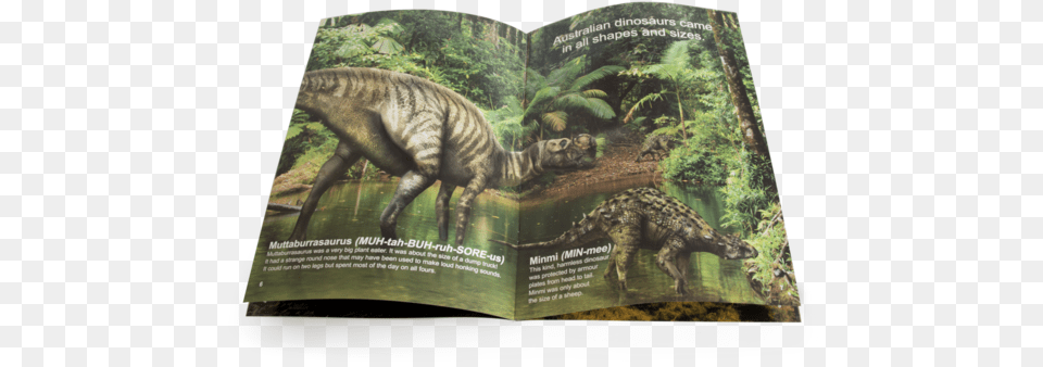 The Australian Dinosaur Big Book Tyrannosaurus, Animal, Reptile, Mammal, Tiger Free Png Download