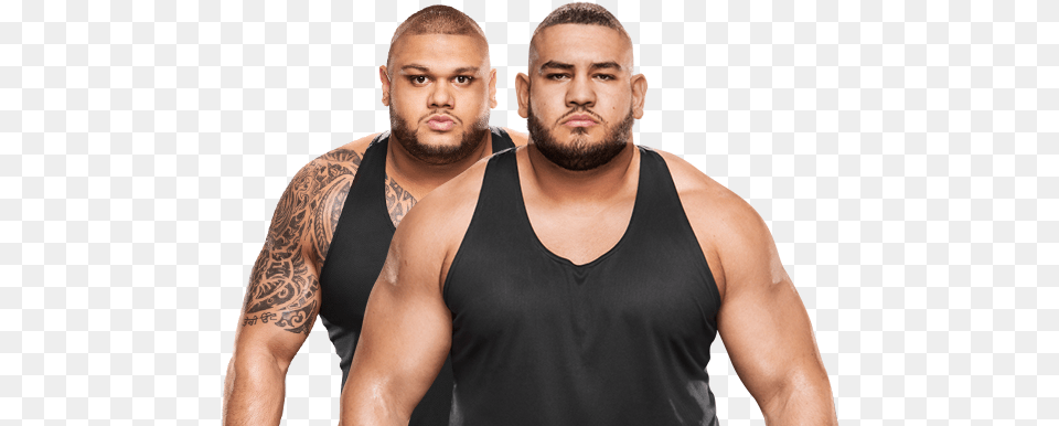 The Authors Of Pain Back On Wwe Main Event Hideo Itami Authors Of Pain, Person, Skin, Tattoo, Adult Free Png