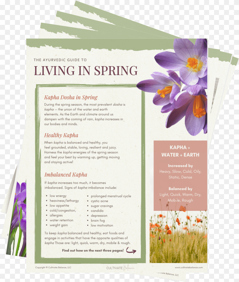 The Ayurvedic Guide To Living In Spring Autumn Crocus, Advertisement, Poster, Flower, Plant Png