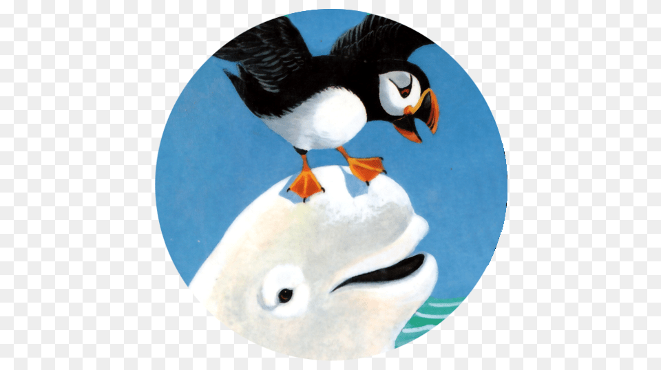 The Baby Beluga Game, Animal, Bird, Puffin Free Transparent Png