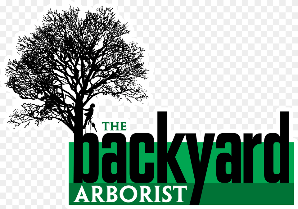 The Backyard Thebackyardarboristweb Your Full Service Arborist Logos, Plant, Sticker, Tree, Oak Free Png