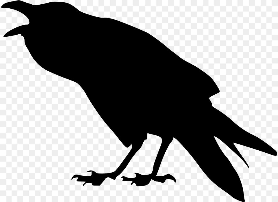 The Barking Crow Common Raven, Gray Free Transparent Png