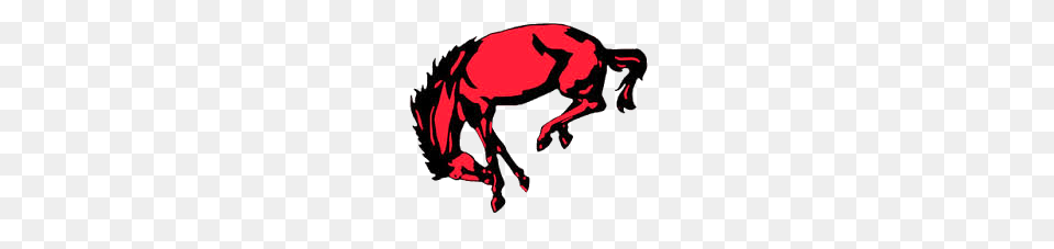 The Barrington Broncos Defeat The Maine South Hawks, Animal, Colt Horse, Horse, Mammal Png Image