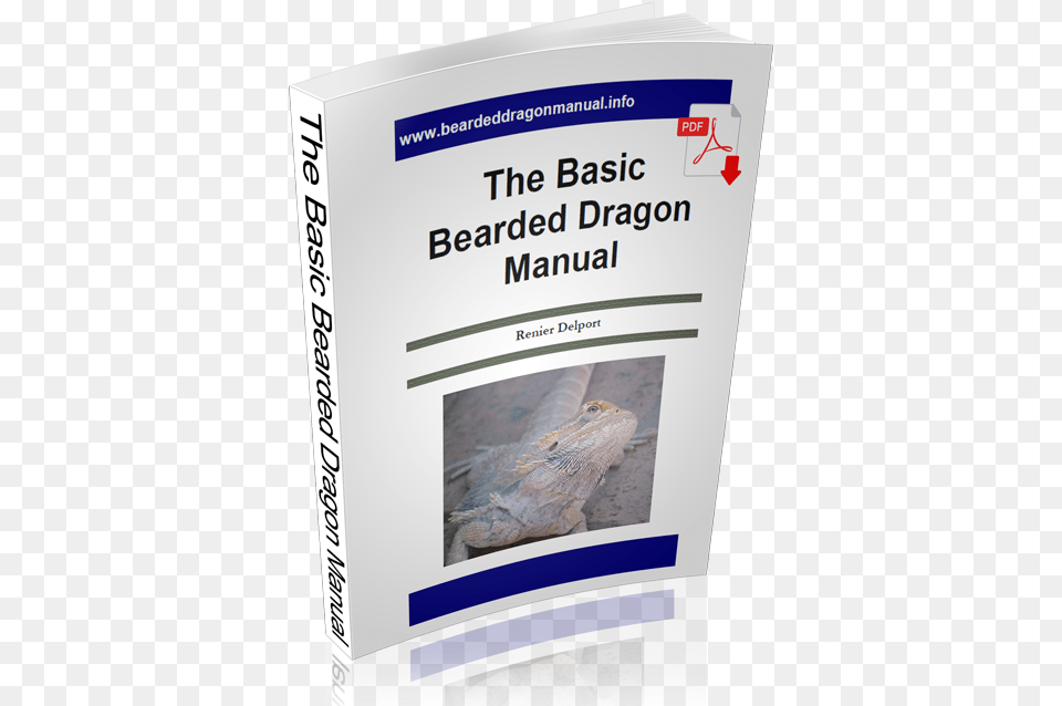 The Basic Bearded Dragon Manual Whale Shark, Advertisement, Poster, Animal, Lizard Free Png