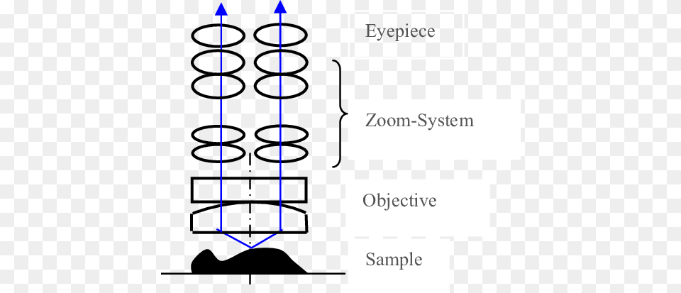 The Basic Principle Of The Stereo Microscope Stereo Microscope Principle, Coil, Spiral, Chart, Plot Png