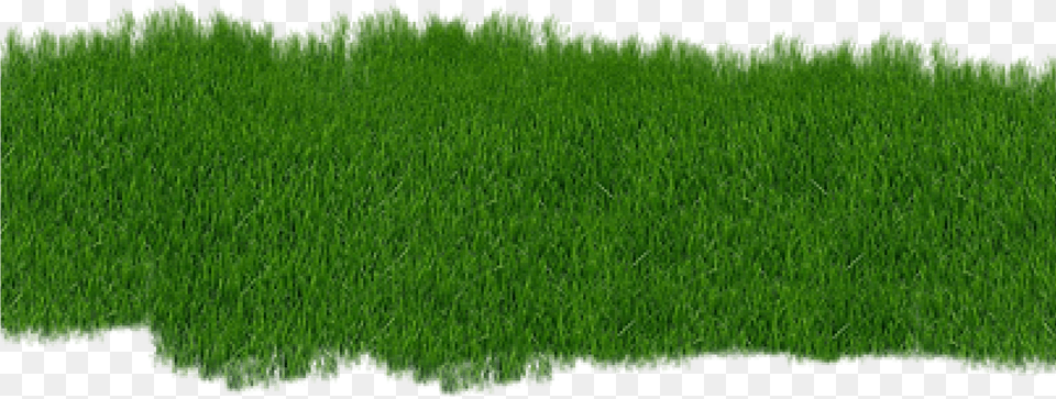 The Basic Principles Of Lawncare Garden, Grass, Lawn, Plant, Vegetation Free Png Download