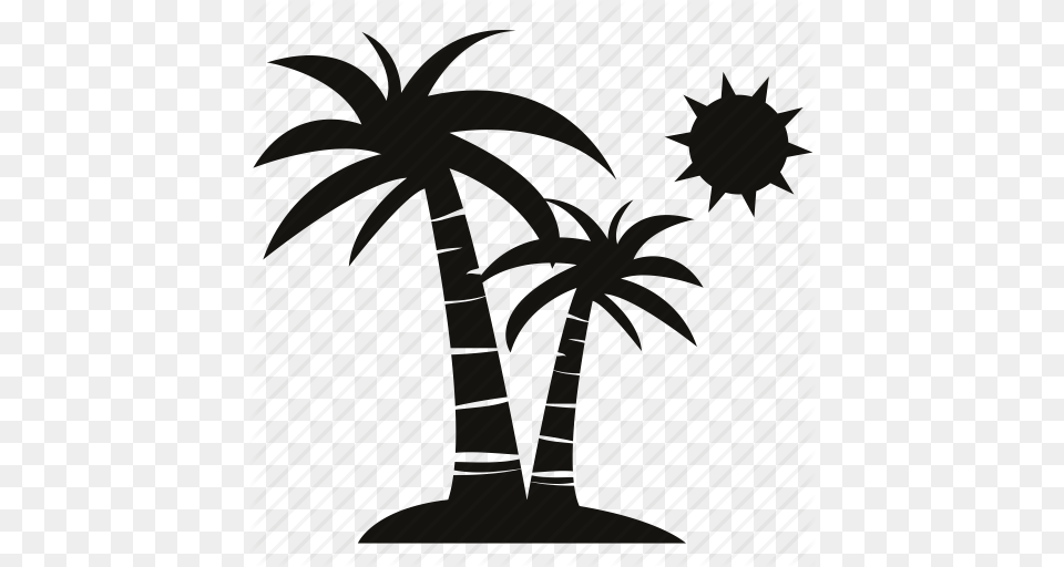 The Beach Black And White The Beach Black, Palm Tree, Plant, Tree Free Transparent Png